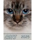 Wall Calendar Cats